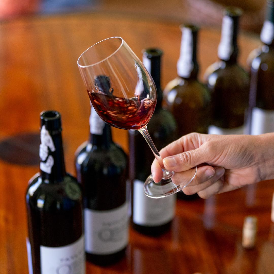 Prova de vinhos