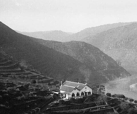 Until the last decade of the 18th century the steep rocky hillsides around Vargellas were remote and inaccessible. The Valeira gorge, a mile or two...