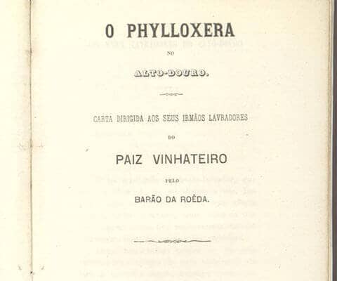 In the late 1850s and early 1860s curious European botanists and vine growers had begun importing native vines from North America. They were not...