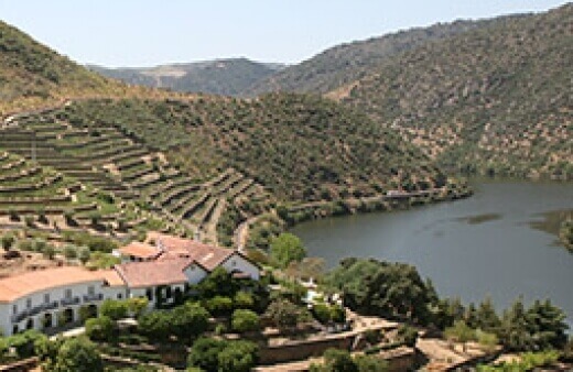 La región del Douro, cuna del vino de Oporto, es una de las regiones vitivinícolas más antigua y más bella de Europa. En ella se produce vino...