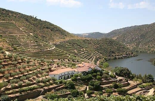 Die Quinta de Vargellas ist herausragend unter den Douro-Weingütern