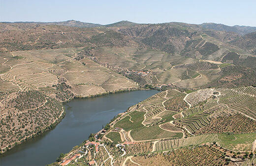 The Douro Valley, birthplace of Port, is one of the oldest and most beautiful of the historic European wine regions. Wine has been made there for...