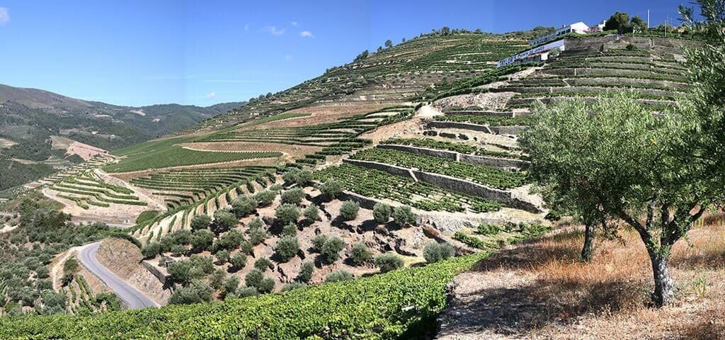 Die wunderschöne alte Quinta do Junco zählt zu den bekanntesten Weingütern im historischen Pinhão-Tal. Um die etwas versteckt...