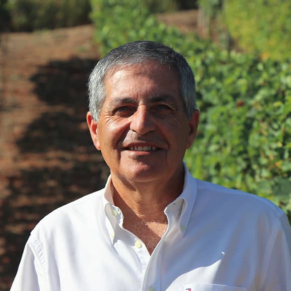 Born into a family with a long history of producing Port, this was a natural career path for António. In 1983 he graduated from the University of Trás-os-Montes with a degree in...