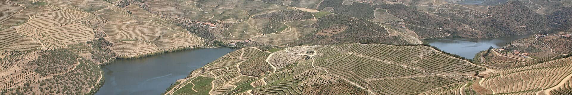 The Douro Valley, the river and the port wine vineyards