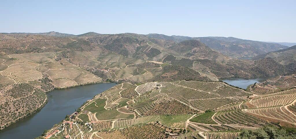 The Douro Valley, the river and the port wine vineyards