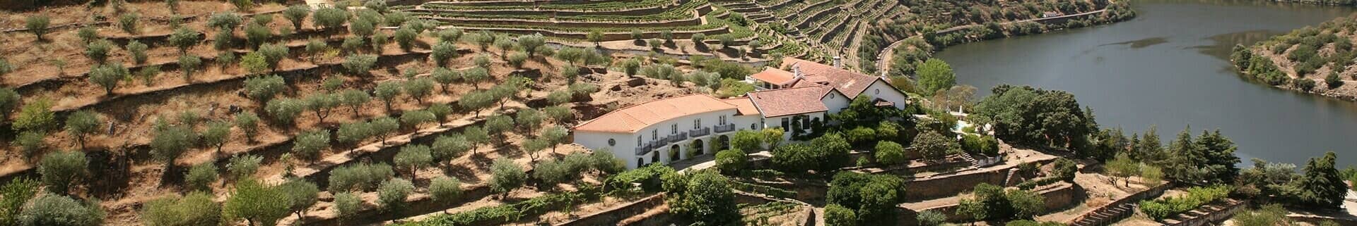 Quinta de Vargellas is pre-eminent among the wine estates of the Douro. Located in the wild and hilly eastern reaches of the valley, it has been...