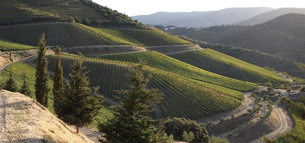 Port wine vineyards landscape in the Douro Valley, Portugal