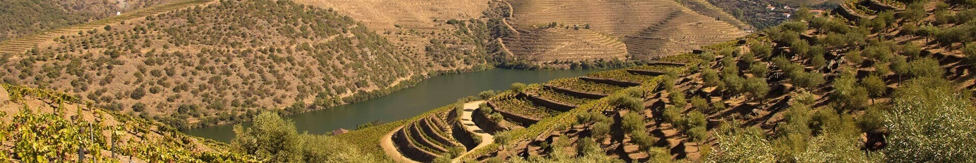 Port wine quintas and vineyards in the Douro Valley