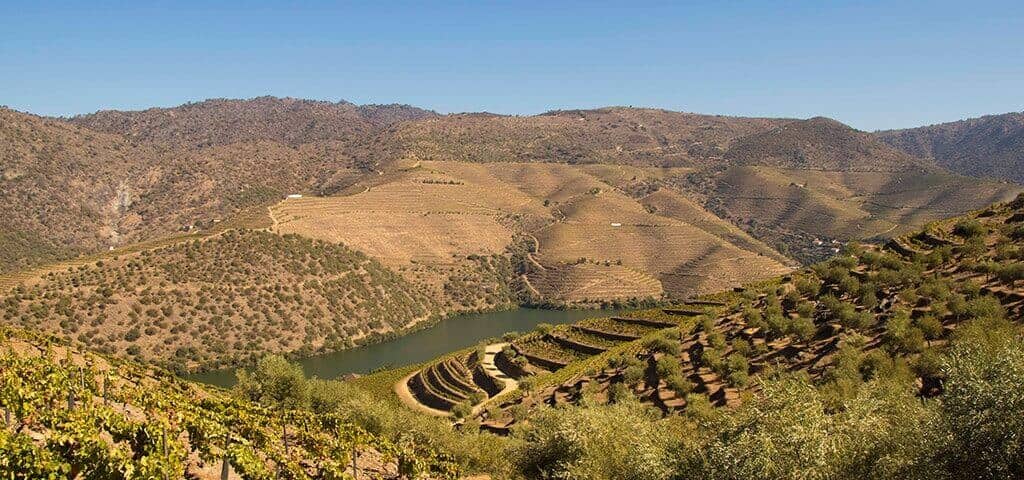 Port wine quintas and vineyards in the Douro Valley