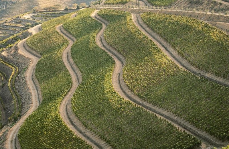 After several days of hard work and dedication, the harvest at Quinta de Vargellas has come to an end. This week, serenity returns to the...