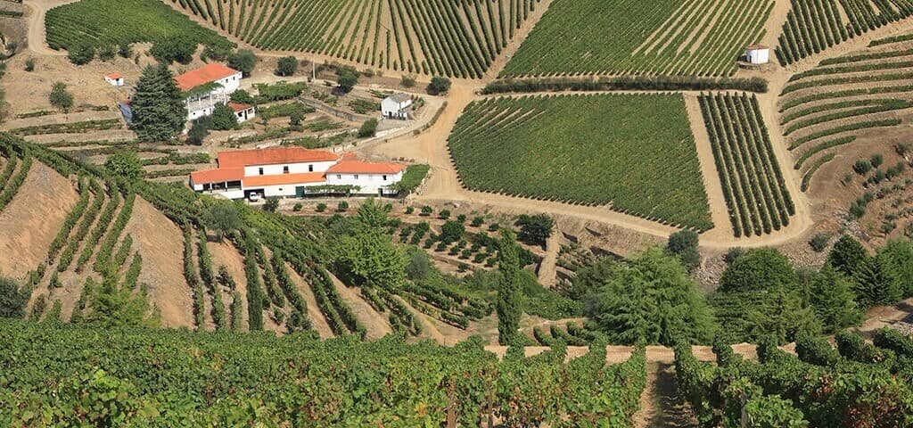 Ironically, the histories of many of the Pinhão Valley vineyards are  not  as  well  documented as those of the estates...