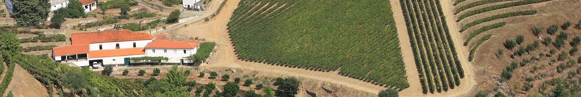 Ironically, the histories of many of the Pinhão Valley vineyards are  not  as  well  documented as those of the estates...