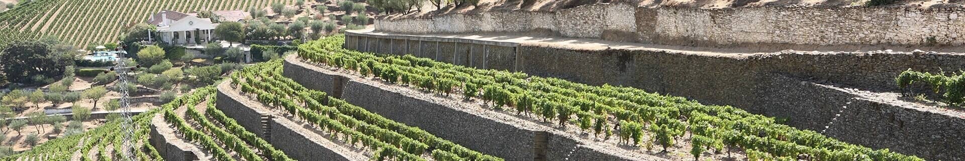 The old walled terraces of the Vinha Velha represent the original part of the Vargellas estate and contain its oldest vines.  They have been...