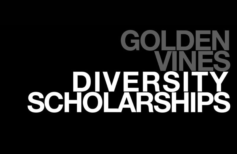 The Taylor’s Port Golden Vines® Diversity Scholarship, Internship & Mentorship Programme is for aspiring black and ethnic...