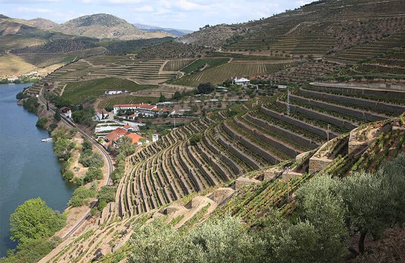 Until the mid-19th century, the treacherous journey to Quinta de Vargellas in the wild, mountainous eastern reaches of the Douro Valley was made by only a brave few. And not all of them lived to tell the tale. 