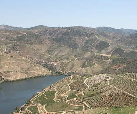 The Douro Valley, the river and the port wine vineyards