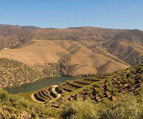 Port wine quintas and vineyards in the Douro Valley