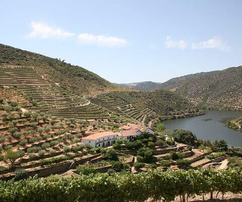 quinta de vargellas visit