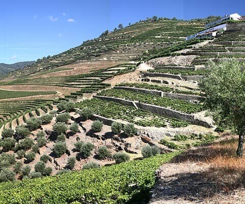 Die wunderschöne alte Quinta do Junco zählt zu den bekanntesten Weingütern im historischen Pinhão-Tal. Um die etwas versteckt...