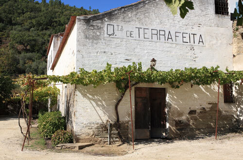 Quinta de Terra Feita